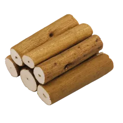 Bodzabél