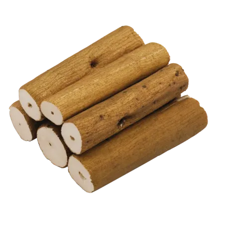 Bodzabél